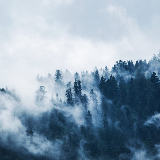 © Sportalpen Marketing