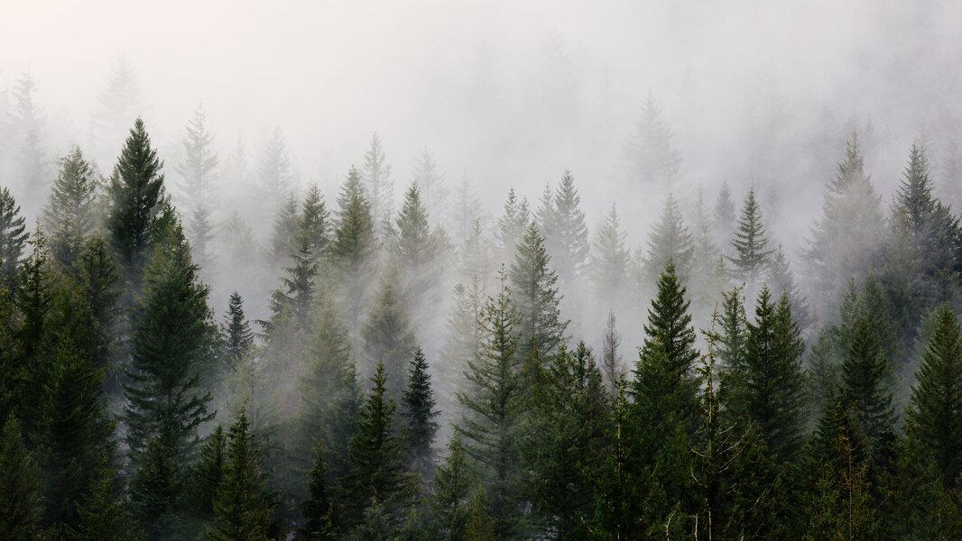 Sportalpen DEV | © Sportalpen