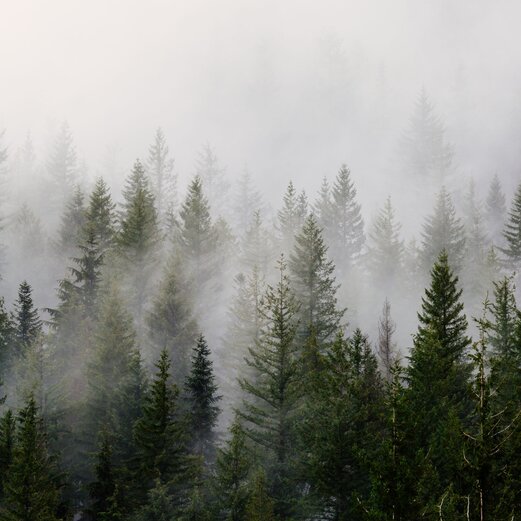 Sportalpen DEV | © Sportalpen