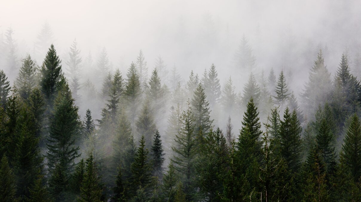 Sportalpen DEV | © Sportalpen