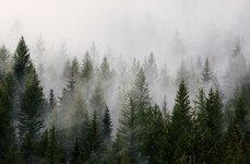 Sportalpen DEV | © Sportalpen